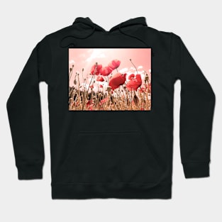 Fresh, wild, red poppies in the field, color photography, delicate flowers image Hoodie